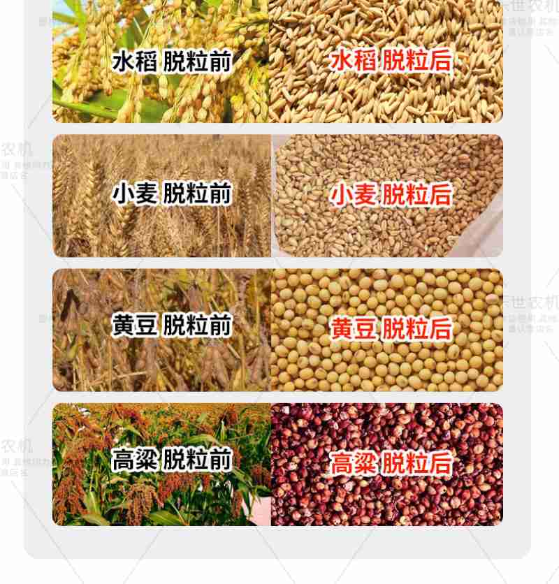 微信图片_20250327092018.jpg